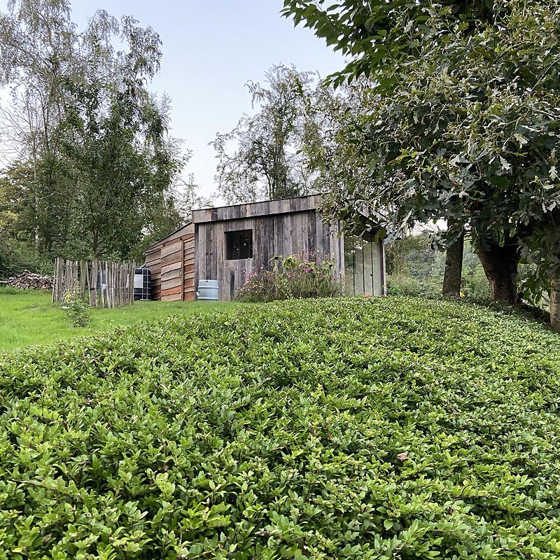 Poolhouses & tuinkamers